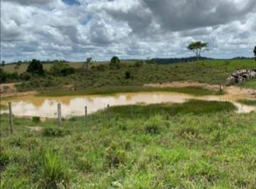 2022/10/fad457c64c2fbcee0f39e887f4be8b8c.jpg · RURAL - MUNDO NOVO