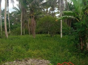 Foto 01 · Oportunidade única! Venda de 10 tarefas de terra localizada em Conceição da Feira