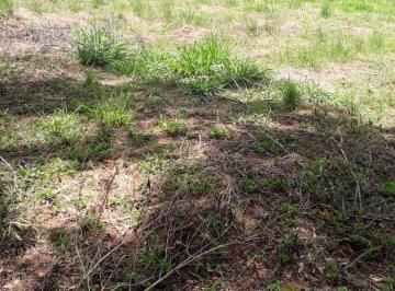 Terreno , Juquitiba · TERRENO PLANO COM LINDA VISTA## JUQUITIBA (55 mil)