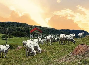 Rural · 264000000m² · 3 Quartos · 5 Vagas · Sítio em Rua Curuzu - Centro - Botucatu/SP