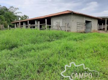 Foto 01 · SÍTIO EM CAÇAPAVA 5 ALQUEIRES COM ÓTIMA TOPOGRAFIA!