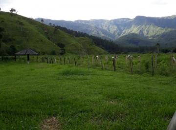 2023/08/805c3358e486d9b50a704491b66dc1ec.jpg · RURAL - RIBEIRÃO GRANDE