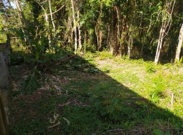 Terreno , Ubatuba · Terreno condomínio Ubatuba