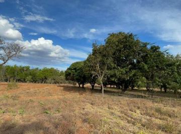 Rural , Sobradinho · LOTE - LAGO OESTE - RUA 11