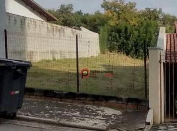 7ac3d0c7bcd08f4bb3a84c3c0d5c5b3f625129ba · Terreno Mangal