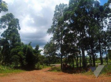 6136153aceceee2f060d3a5611ead360d9609bbf · Chácara à venda, 10000 m² por R$ 1.800.000,00 - Paris - Guaraniaçu/PR