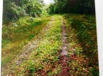20231005173638150.jpg · Terreno em Condomínio para Venda em Embu-Guaçu, vale das fontes