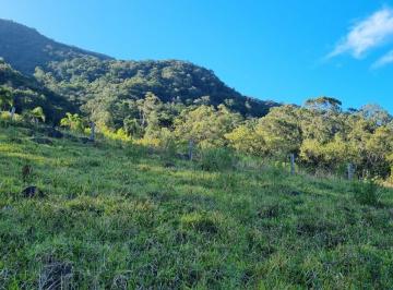 Rural , Igrejinha · Sítio com 7,25 Hectares em Igrejinha/RS na localidade de Solitária Alta