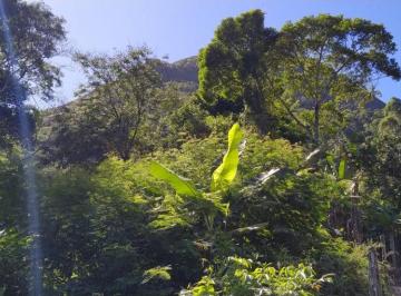 lote-terreno-com-36-000m-a-venda-em-buenos-aires-guarapari-es-2031534031.jpeg · Terreno com 30.958m², à venda em Buenos Aires - Guarapari/ES