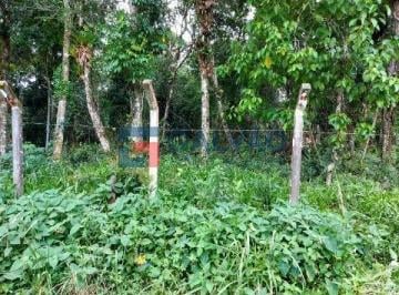 Terreno · Terreno à venda na Praia de Boracéia em São Sebastião - SP