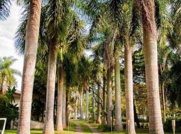 d34b1e1ecb7ef7b4a8ab2f646e7d9d03b92afd5a · Chácara com 4 dormitórios à venda, 10200 m² por R$ 5.390.000,00 - Dois Córregos - Valinhos/SP
