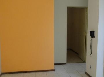 Apartamento · 50m² · 2 Quartos · 1 Vaga · Apartamento em Vila Ricci, Mogi Guaçu/SP de 50m² 2 quartos à venda por R$ 235.000,00
