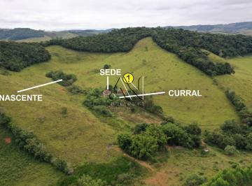 Rural · 611249m² · VENDO FAZENDA – 61 há - a apenas 4 km de QUELUZITO/MG