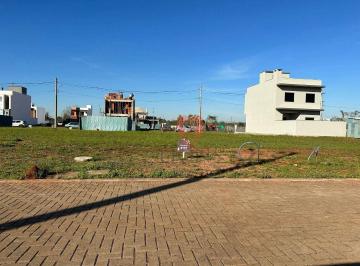 c997b23fcffa916d294d6de5a6b8dde82b81b1ad · Terreno à venda, 128 m² por R$ 191.500,00 - Centro - Gravataí/RS