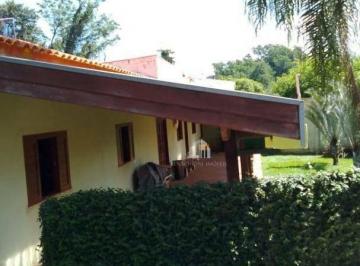 86cdbe43d13cae1b9d33798481c1cf28c0d01ec4 · Chacara a Venda em Limeira SP - R$640 mil
