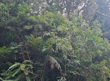 Terreno · 738m² · Vende-se Terreno, 738 m² por R$ 250.000 - Alpes Verdes - Canela/RS