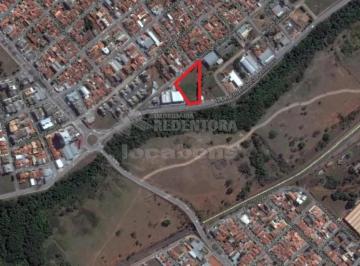 Comercial · 4975m² · Área comercial com duas frentes, uma delas para a Av. Ernani Pires Domingues, 4.975,82m² tendo uma t