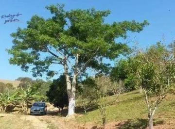 cdec55cc1249282f30166ffebfc064b937cbab4d · Chácara à venda, 7000 m² por R$ 275.000 - Mangalô - Taubaté/SP