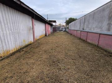 1696000260.jpg · Terreno com edificação para oficina a 300m do Terminal Bairro Alto [115.024]                        