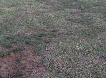 Terreno · 600m² · Terreno em Viamão