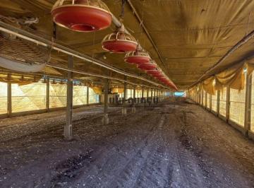 2983be9eb5a7fcd7df4e33144d035e3c39134fe5 · Sítio à venda, 72600 m² por R$ 2.600.000 - Zona Rural - Tatuí/SP