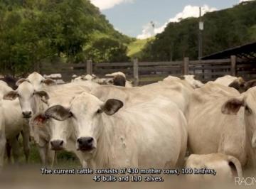 Rural · 15500000m² · 30 Quartos · 100 Vagas · Explore a Maravilha Rural na Fazenda Cachoeira de Palma! Com 1550 hectares