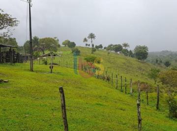 Rural · 370000m² · 3 Quartos · Vendo Fazenda em Ilhéus Bahia 