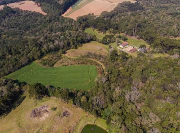 9QgiWem16IY3y7SyY89xbPzSYnj1sLCL88Gbjl0Q.jpg · TERRENO COM ÁREA TOTAL 25.073,41m² - COLÔNIA RIVIERI/CAMPO LARGO-PR - REF 5618-RAZÃO