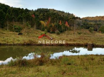 Rural · 47000m² · 1 Quarto · Chácara em  RS 235  - Eletra - São Francisco de Paula/RS