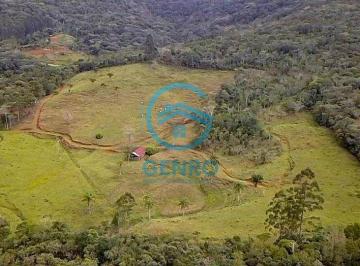 Rural · 35ha · Área Rural para Sítio com Riacho e Terreno de 35 HECTARES à venda em Porto Belo/SC