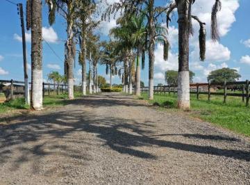 Foto 01 · Sitio, Morro Alto, Itapetininga, SP