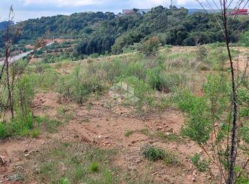 438255_i591zS75OEJew9_43825564e55aff1e7d9.jpg · Terreno comercial plano entre Bento Gonçalves e Garibaldi