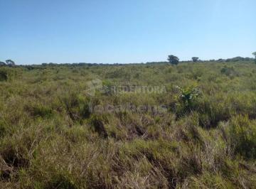 Rural · 14616800m² · Rural / Fazenda À venda com 620 alqueires Paulistas (15.004.000m²) na cidade de Poconé