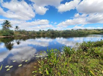 Rural , Aratama · Fazenda à venda com 256 ha em Aratama - Assaré CE