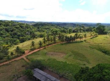 Foto 03 · Fazenda, Zona Rural, Jaguaripe, BA