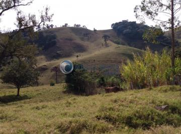 Foto 01 · Área rural em boa proximidade da area ( aproximadamente 8 km)urbana contendo 35,63 ha na cidade de C
