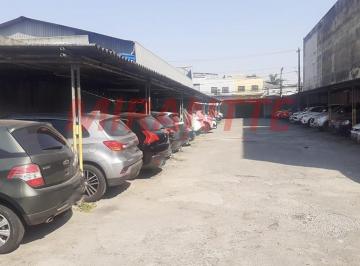 11ed45d45604d261b03448f9f763dd1e.jpg · Terreno