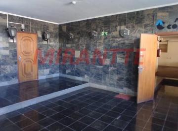 4e59d3ea4fa4c48ad6f092cc9ba8a9d7.jpg · Comercial de 500m²