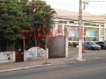 50b9f8dac565422ded336f8e2201e6e9.jpg · Terreno de 50m²