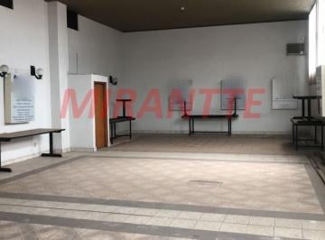 97b71164db4d722d2aaf6795cac3484c.jpg · Comercial de 500m²