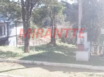 03c5fab821ab5367a372a4fbeef1b4b0.jpg · Terreno com 3 quartos