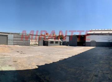 fa5aac5d53bbcc3d15f216f3b3a9ad06.jpg · Galpao