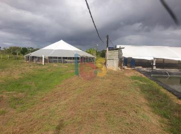 Rural · 1m² · 1 Quarto · Vendo Fazenda Vida Nova 