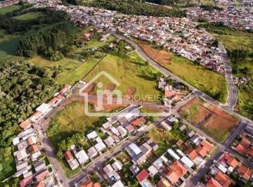 202511071018027095.jpg · Terreno para Venda em Campo Largo, Jardim Lise