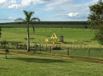 a0aba2c0f3fc0e715af39080447c05f76f67020a · Excelente Fazenda à venda - Zona Rural - Avaí - SP