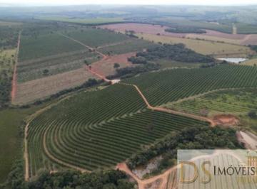 Foto 01 · FAZENDA DE LARANJA A VENDA NA REGIÃO DE ITAPETININGA-SP, 170 ALQUEIRES, COM CASA SEDE E CASA DE CASE