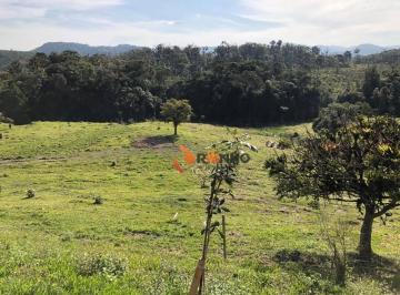 70a7bfcd363c7d95ffd0c3e8990ac01ea97f19ba · Fazenda à venda, 2299000 m² em Campo Largo da Roseira - São José dos Pinhais/PR