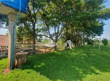 b164b7519a1ee66d48d1afe319fecdad3146a6af · Fazenda à venda, 363000 m² por R$ 16.000.000,00 - Bratislava - Cambé/PR