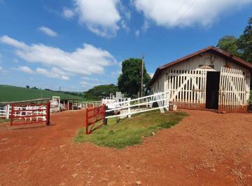 b66686e6f020b91665d43f5d3c2ec846c204307c · Fazenda à venda, 363000 m² por R$ 16.000.000,00 - Bratislava - Cambé/PR