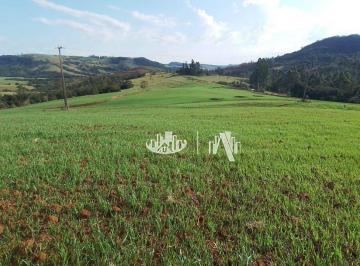 30ca3a3930bde7d0be2fc43a66a94a7ad133f095 · Sítio à venda, 212960 m² por R$ 2.000.000,00 - Zona Rural - Tamarana/PR